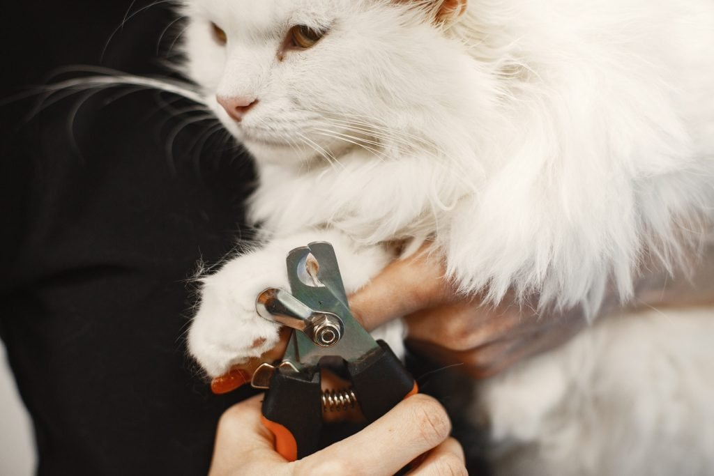 Pet Nail Clipper