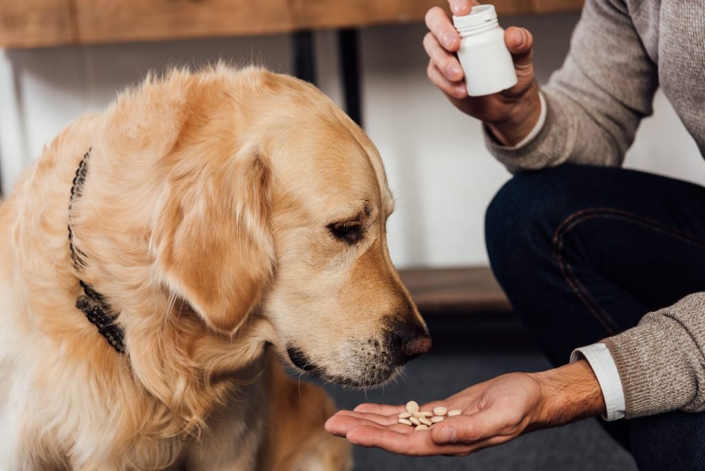 Supplements