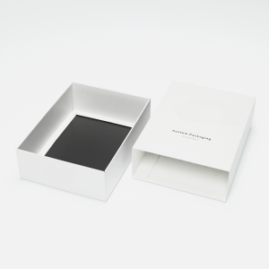 aigo print tray and sleeve boxes3